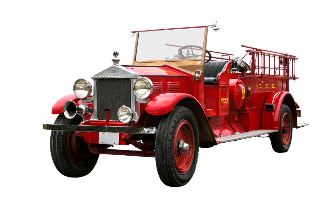 Evakuasi Ular di Terminal